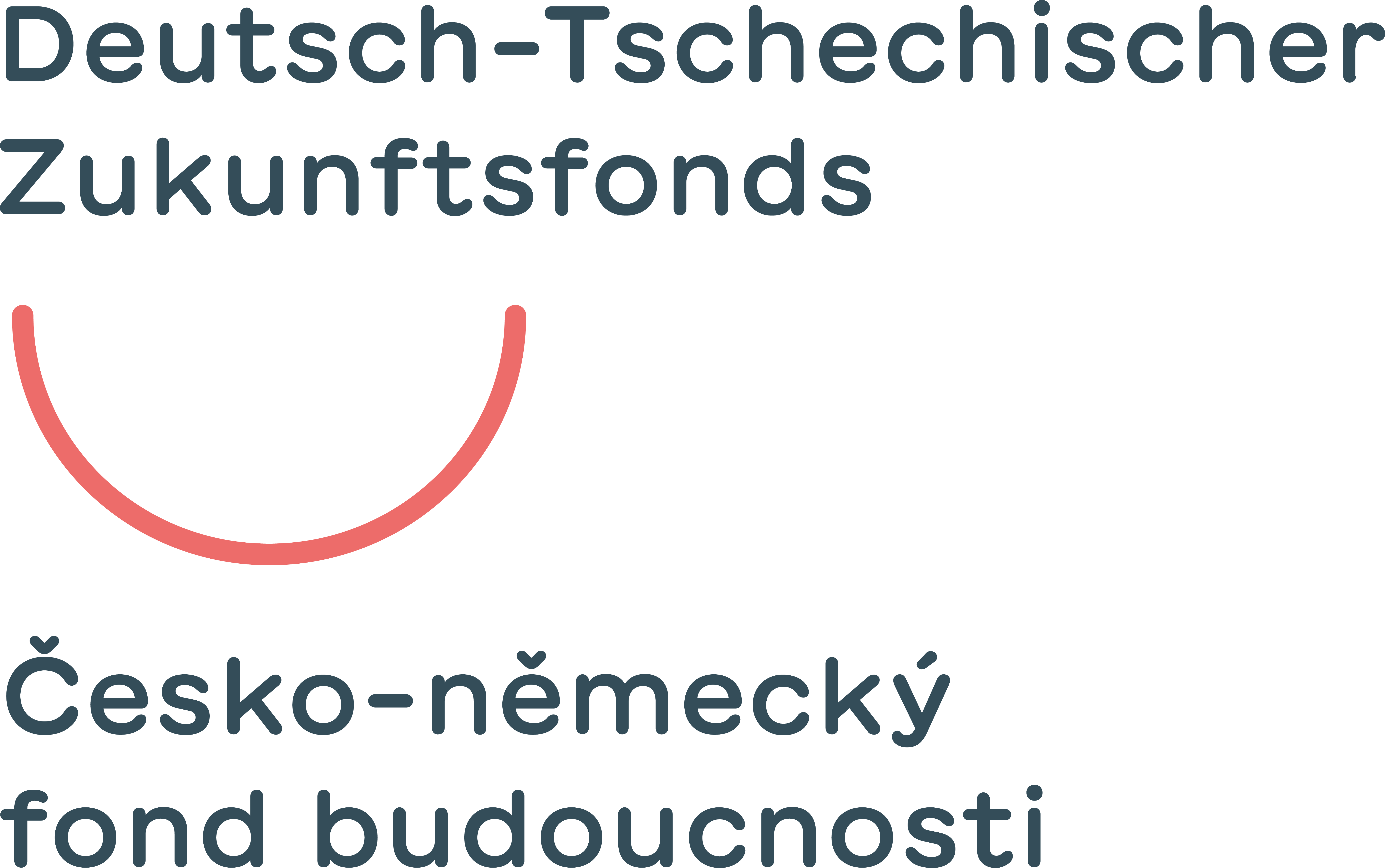 DTZF_GRUNDLOGO_DE.png